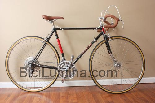 Schwinn Sports Tourer ficha técnica y opiniones